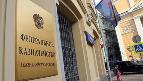 Казначейство станет агентом валютного контроля наряду с Банком России и уполномоченными правительством органами контроля.