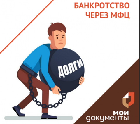 Процедура банкротства проводится бесплатно через многофункциональные центры (МФЦ).