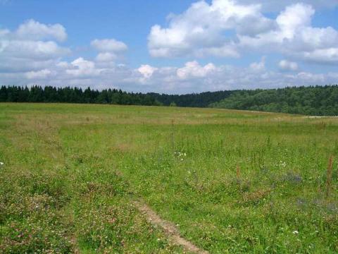 Моск.обл, Ногинский район,участок пром.назначения, Цена : 45.000.000 руб (продажа)