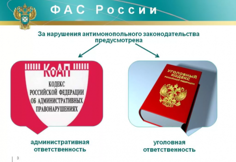  Повышение экономической эффективности и конкурентоспособности хозяйствующих субъектов, в том числе за счет обеспечения равного доступа к товарам и услугам.