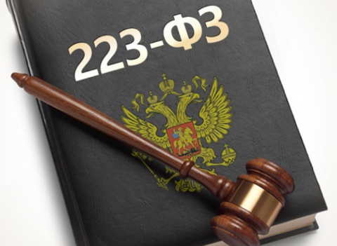 Жалоба, поступившая в антимонопольный орган, подлежит рассмотрению строго в пределах изложенных в жалобе доводов, на основании которого комиссия антимонопольного органа делает выводы о признании жалобы обоснованной или необоснованной