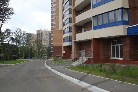 Московская область,Красногорск,ул. Лесная, 17,ПСН,Цена:60000 руб/месяц(аренда)