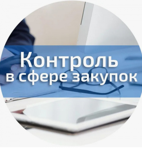 Интернет-интервью с начальником Управления контроля тылового обеспечения и капитального строительства в сфере ГОЗ ФАС России.
