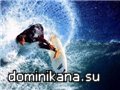 /upload/main/573/93c0d1b4dd83.jpg