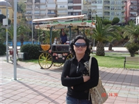 /upload/main/d68/ec9ab50f358543ca90c43299fdba0128_med.jpg