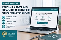 ФАС упростила процедуру обжалования нарушения сроков оплаты по 44-ФЗ и 223-ФЗ