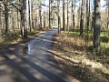 Санкт-Петербург, Курортный р-он, п.Смолячково, Приморское ш., 712А, участок. Цена: 5900000 руб. (продажа)
