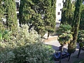 Краснодарский край, Сочи, ул. Кирова 75, квартира. Цена: 7200000 руб. (продажа)
