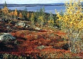 Финляндия, Руоколахти, Хауклаппи, участок(продажа)